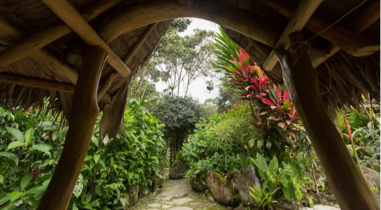 Intro to Parts &amp; Self