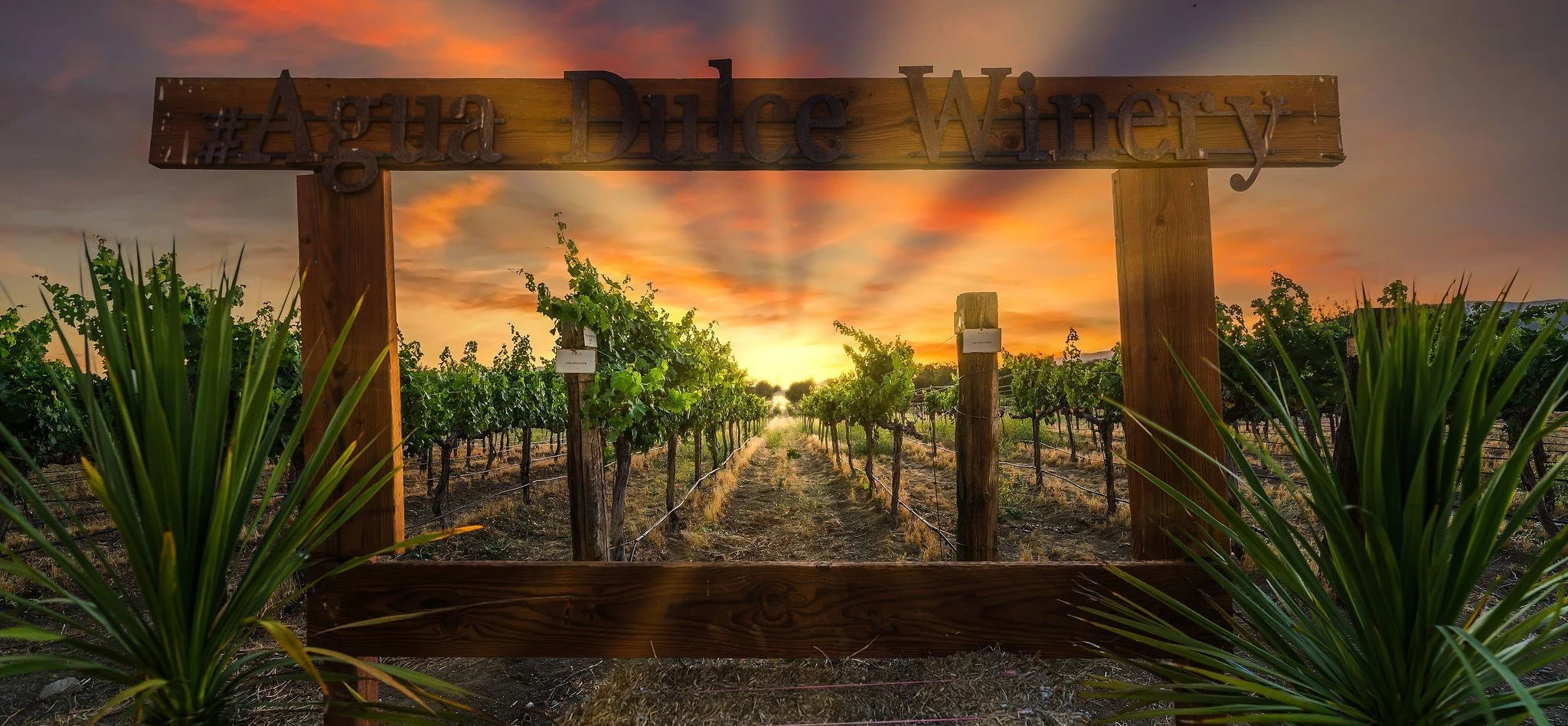 Agua Dulce Winery Wine Tasting & Tours