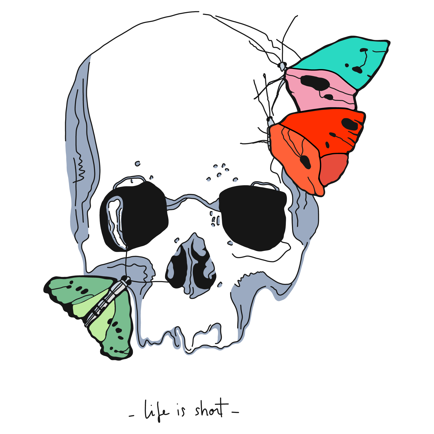 IMG_2981.png