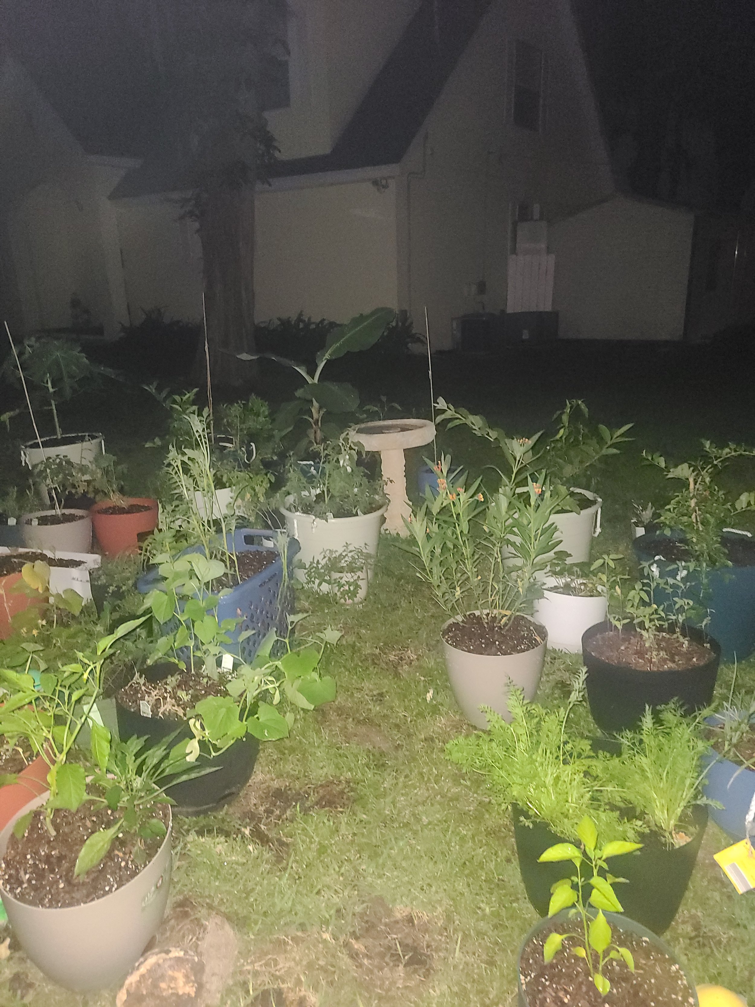 20240601_211407.jpg