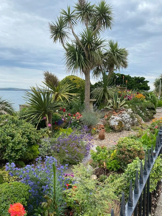 a photo of a coastal garden with vegetation, plants and rocks with an ocean view in the background.