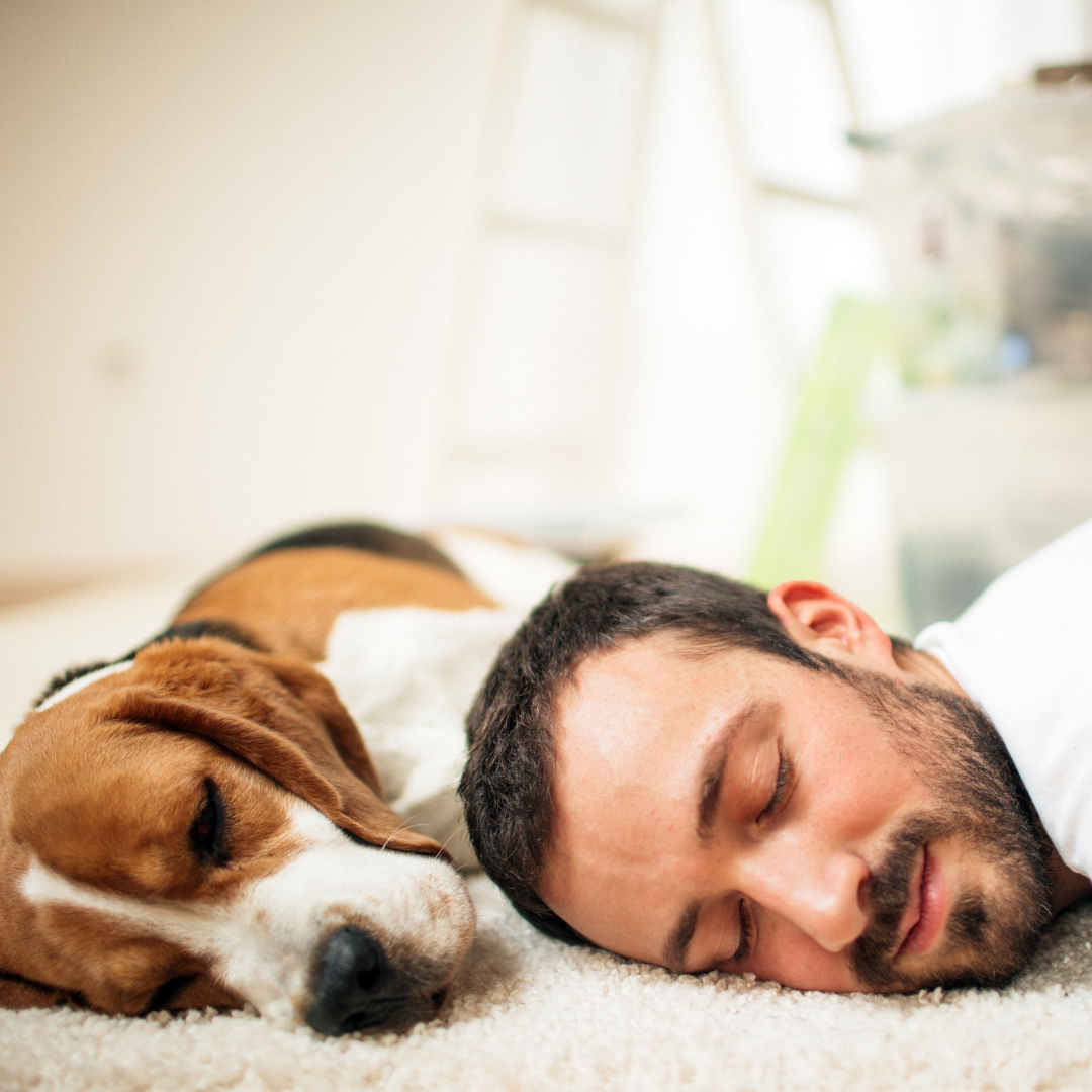 The Power of Naps: Unlocking the Benefits of Daytime Snoozing