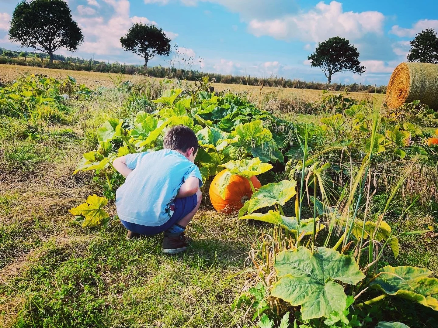 14876671-C167-4DDD-A70F-79784A3C6B74.jpeg