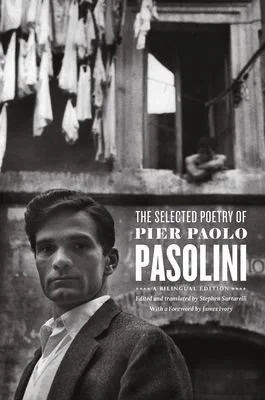The Selected Poetry of Pier Paolo Pasolini.jpeg