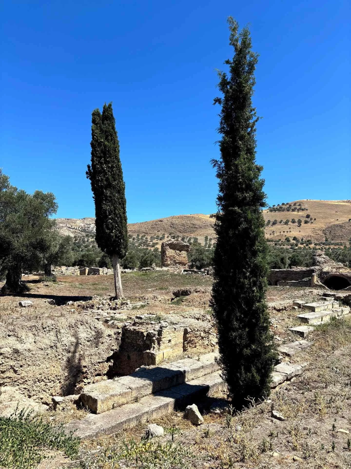 13.07.2025 3-min.jpg