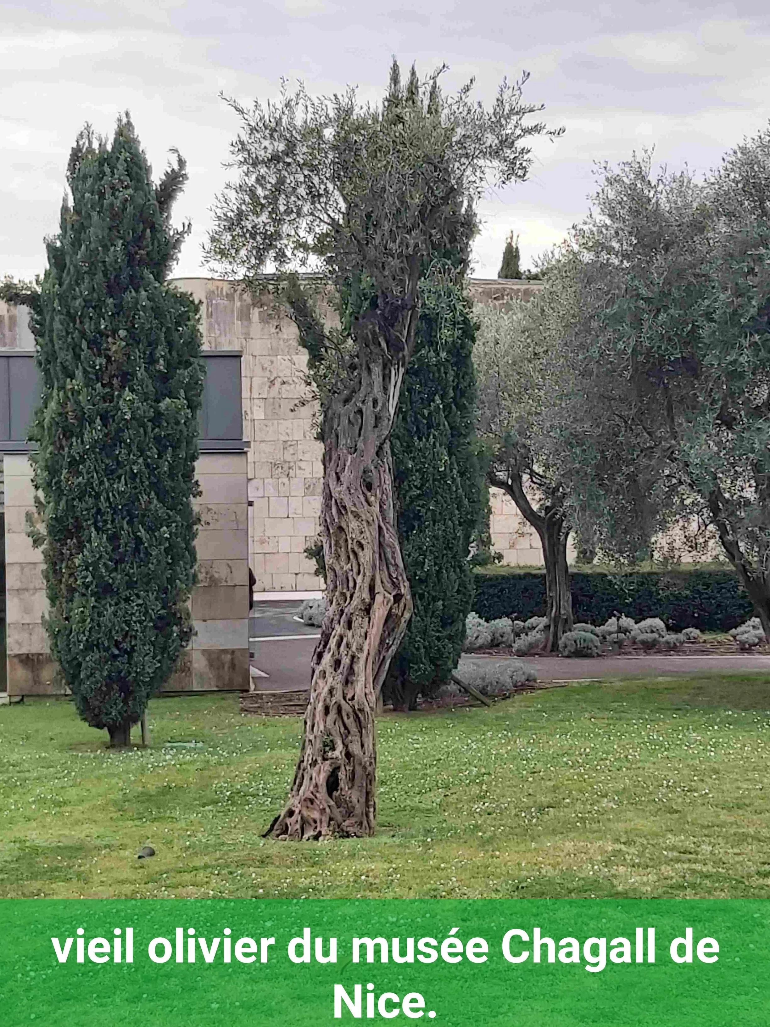 Scan 15 mars 26 · 10·52·28 17735683482941.jpeg