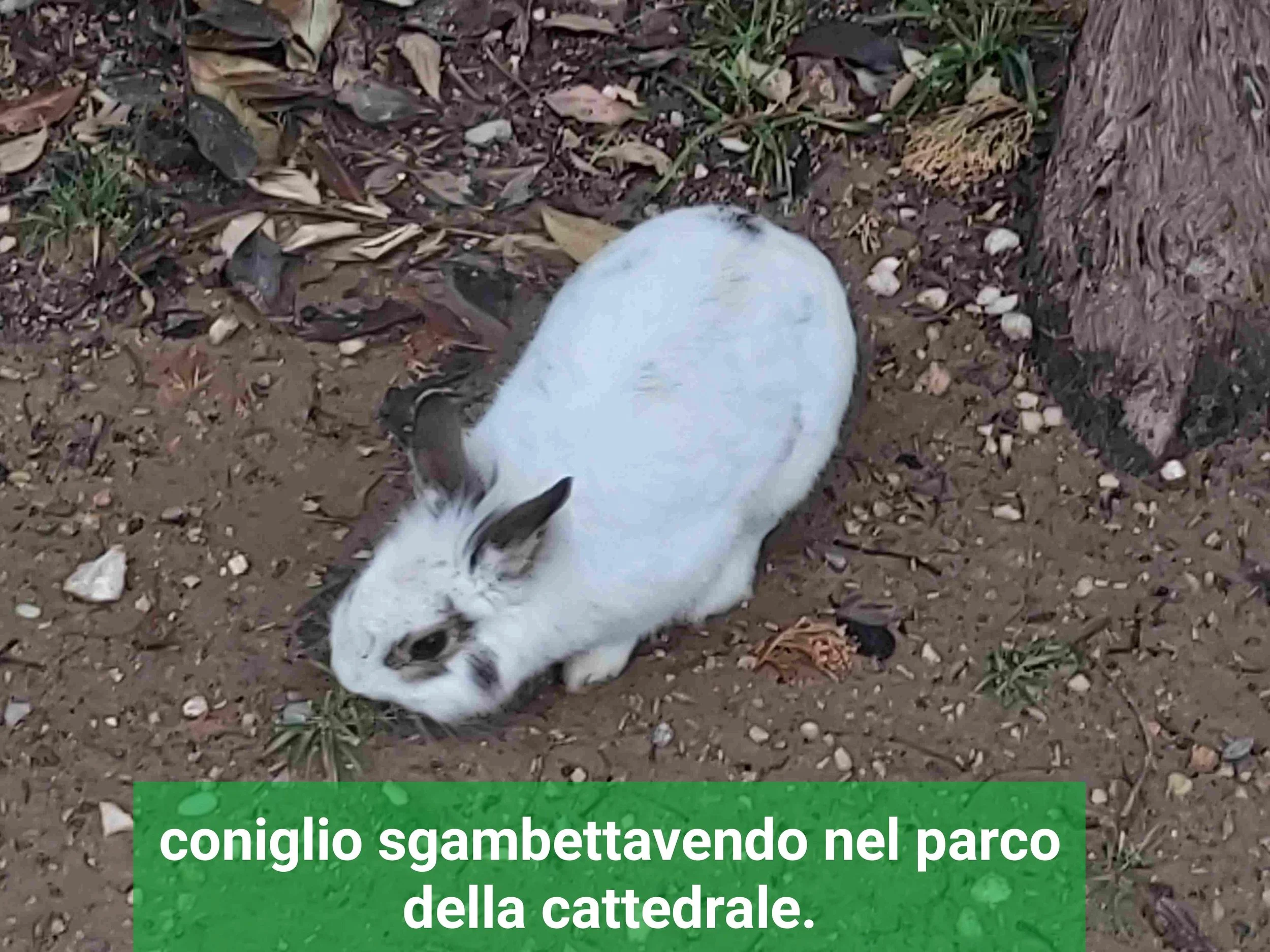 Scan 15 mars 26 · 11·18·34 17735699145581.jpeg