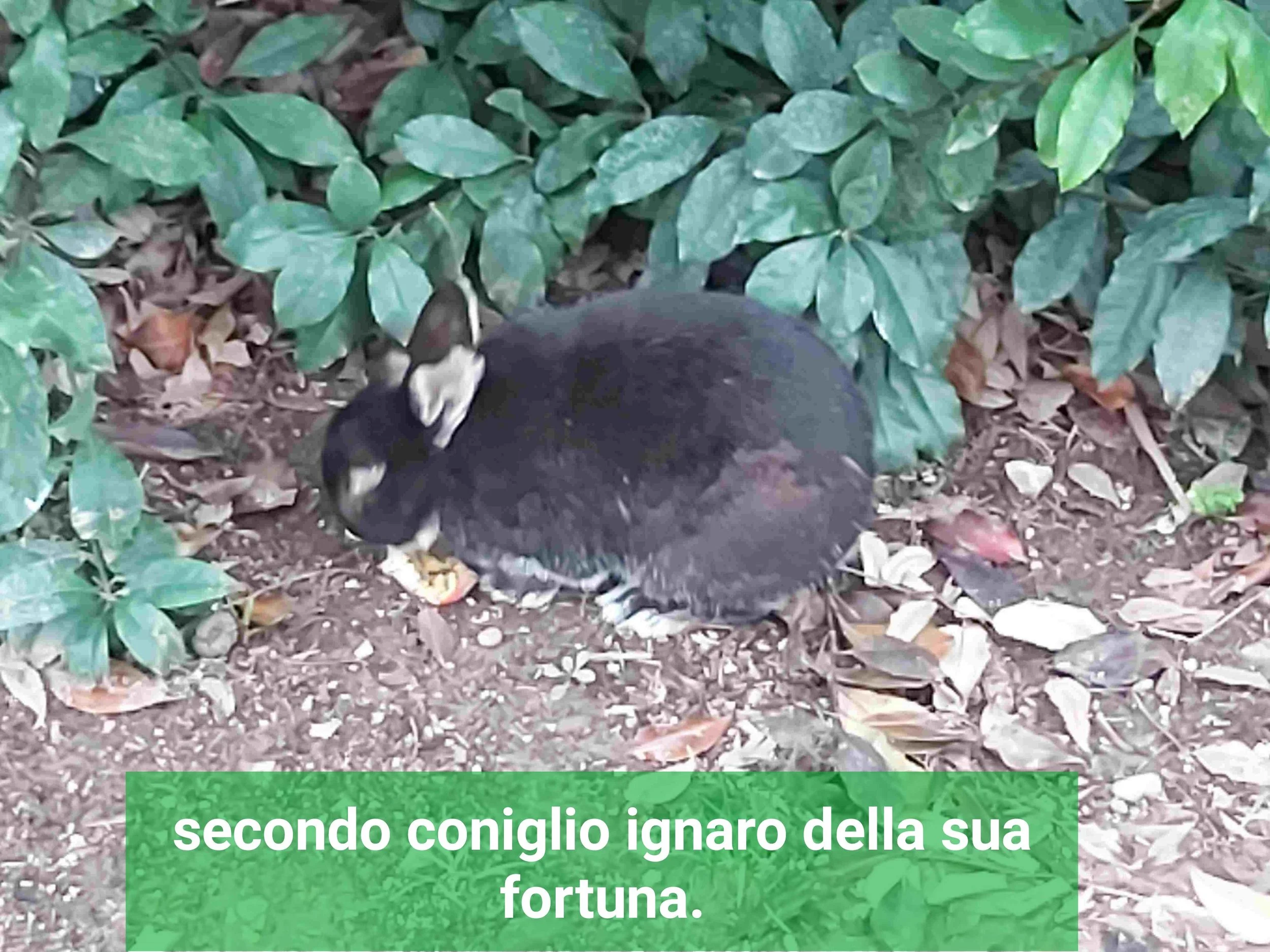 Scan 15 mars 26 · 11·19·51 17735699915001.jpeg