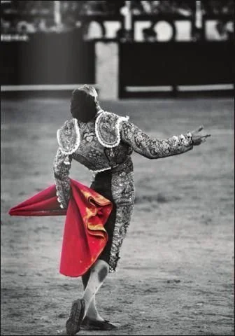 Jose Maria Manzanares Jr, torero_.jpg