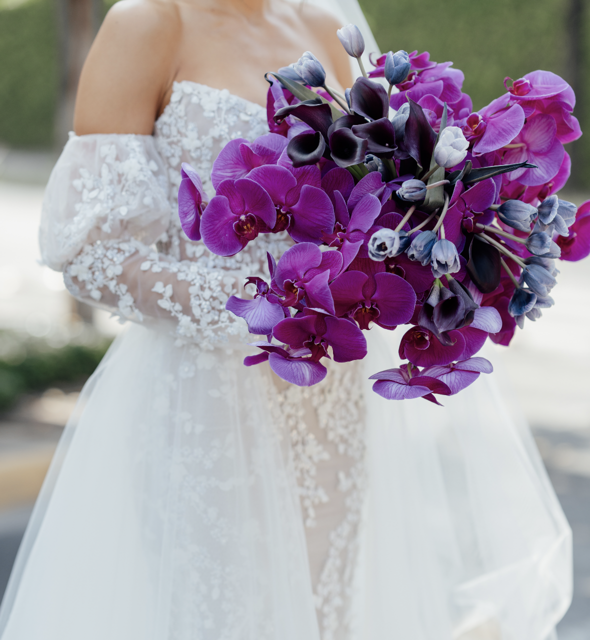 Screenshot 2024-02-16 at 3.25.09 a.m..png