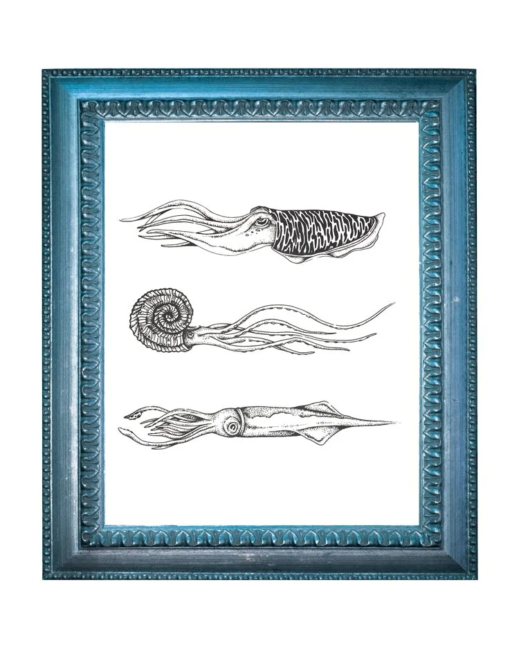 Cephalopod Trio Screen Print