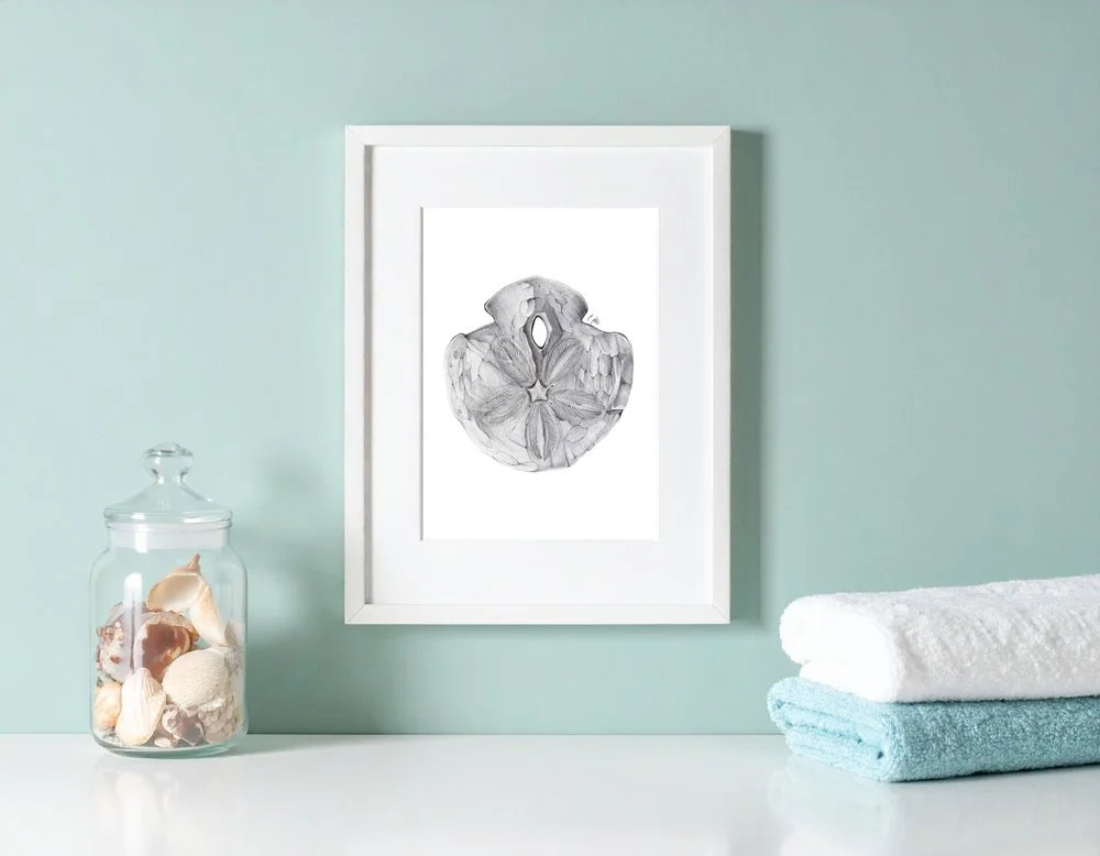 Sand Dollar Mini Print
