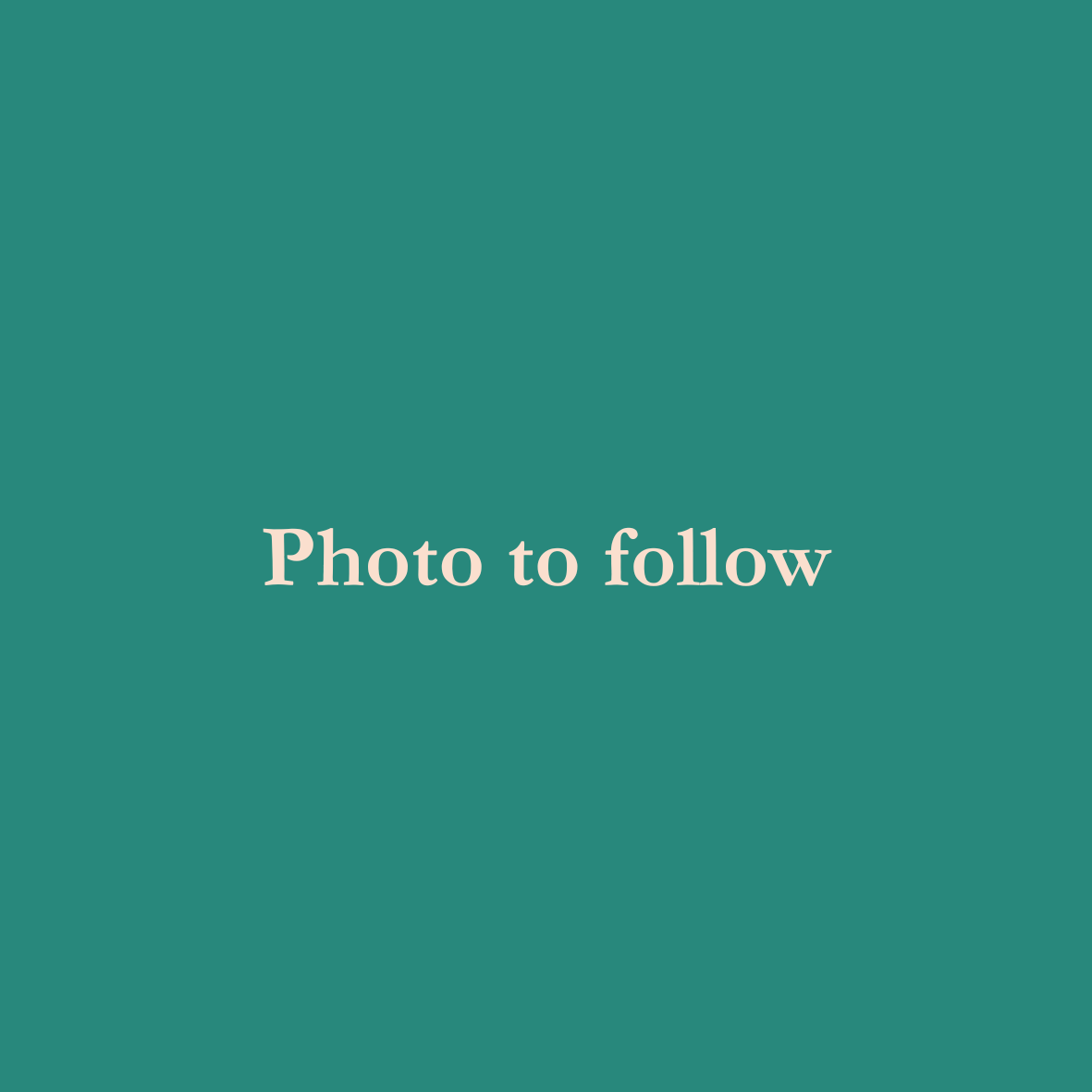Placeholder image with teal background and white text saying "Photo to follow."