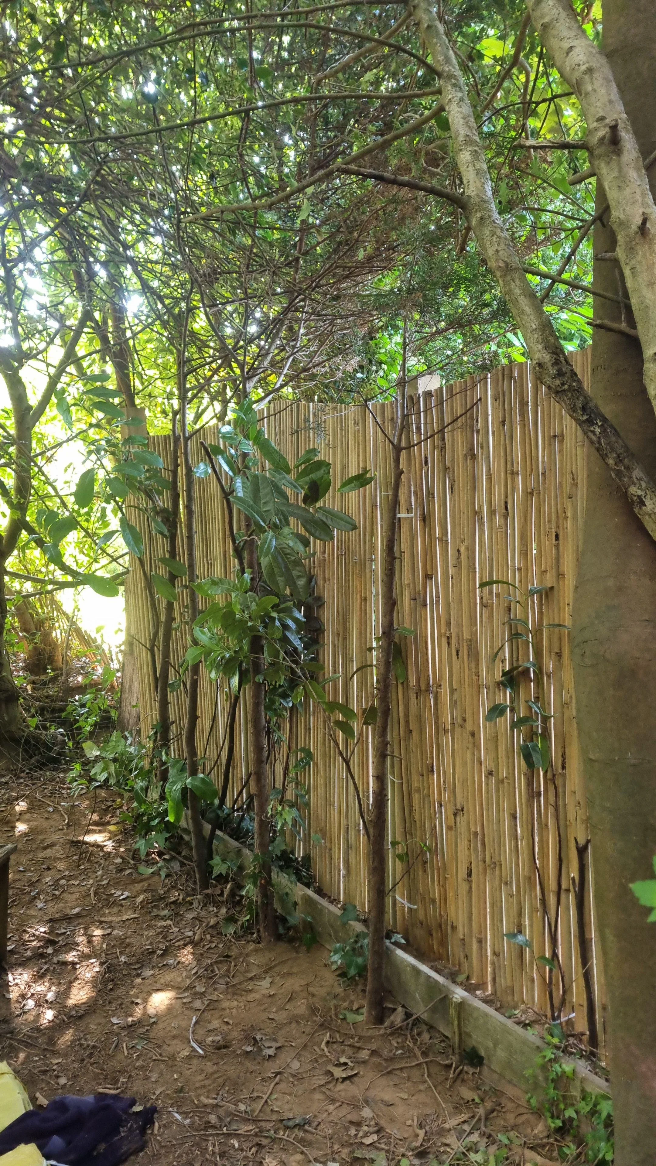 B&A Work Photo7.jpeg