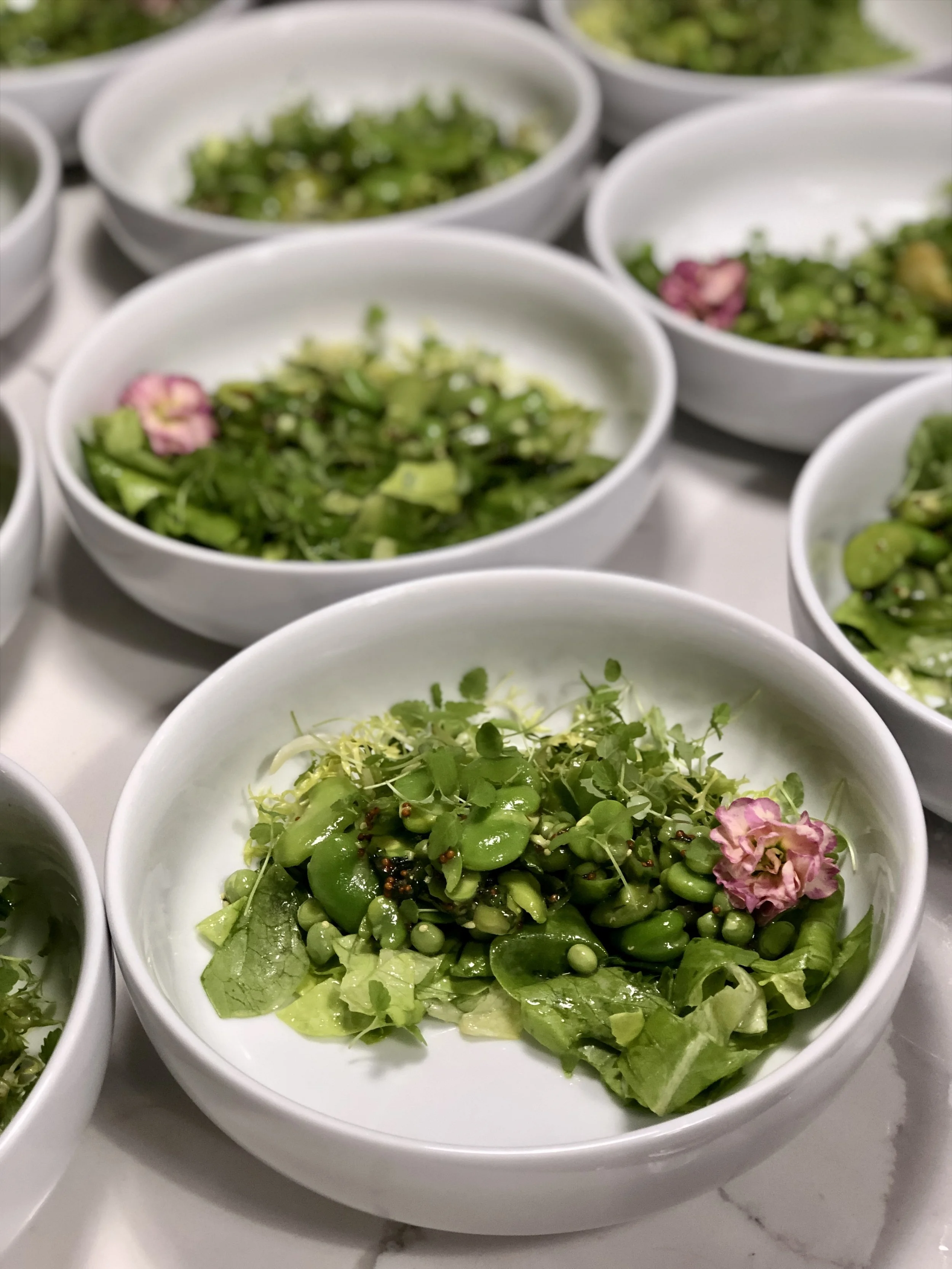 Meal Prep Chef Private Dinner New York City