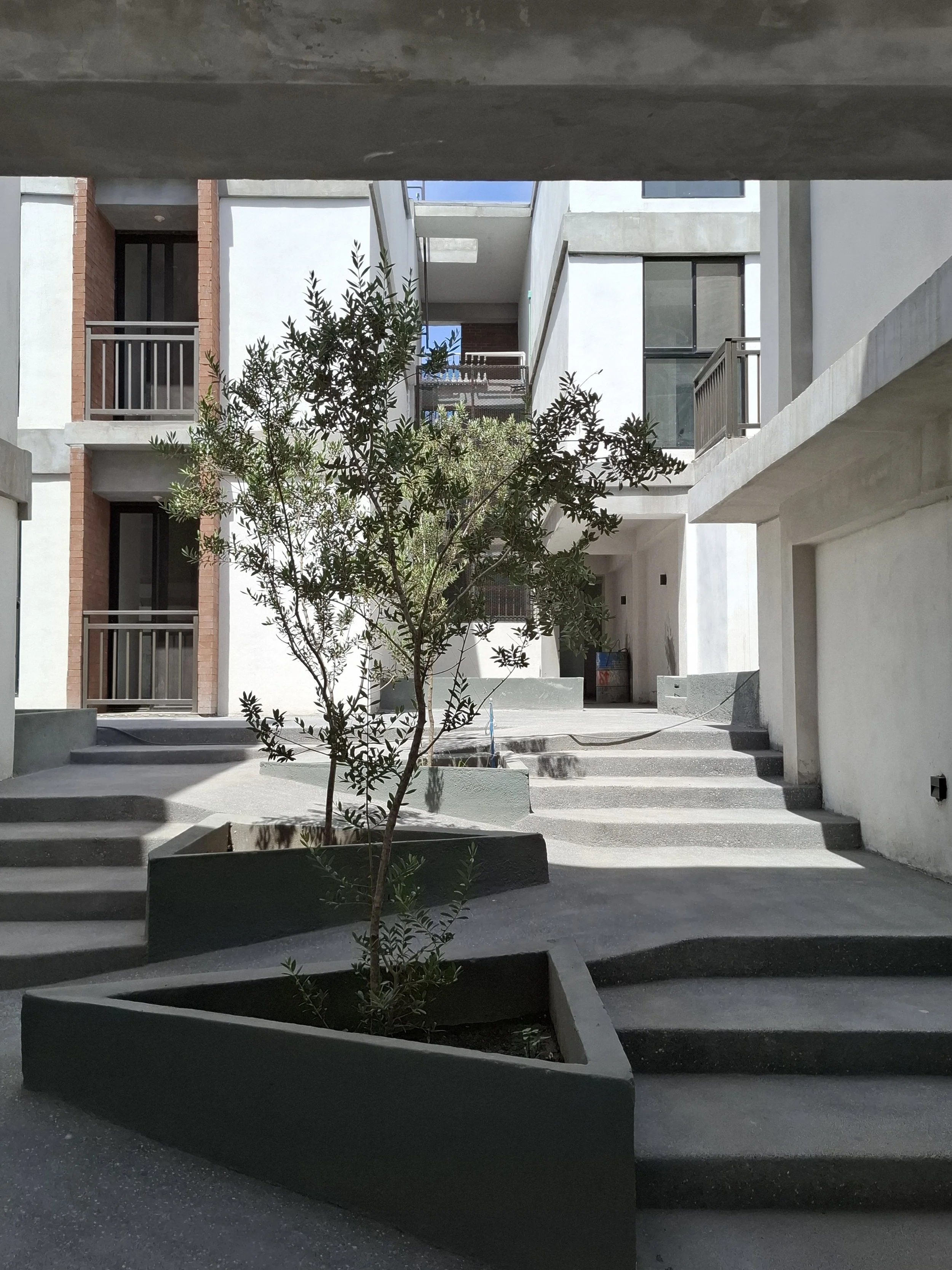 VI7.jpeg (copia) (copia) (copia)