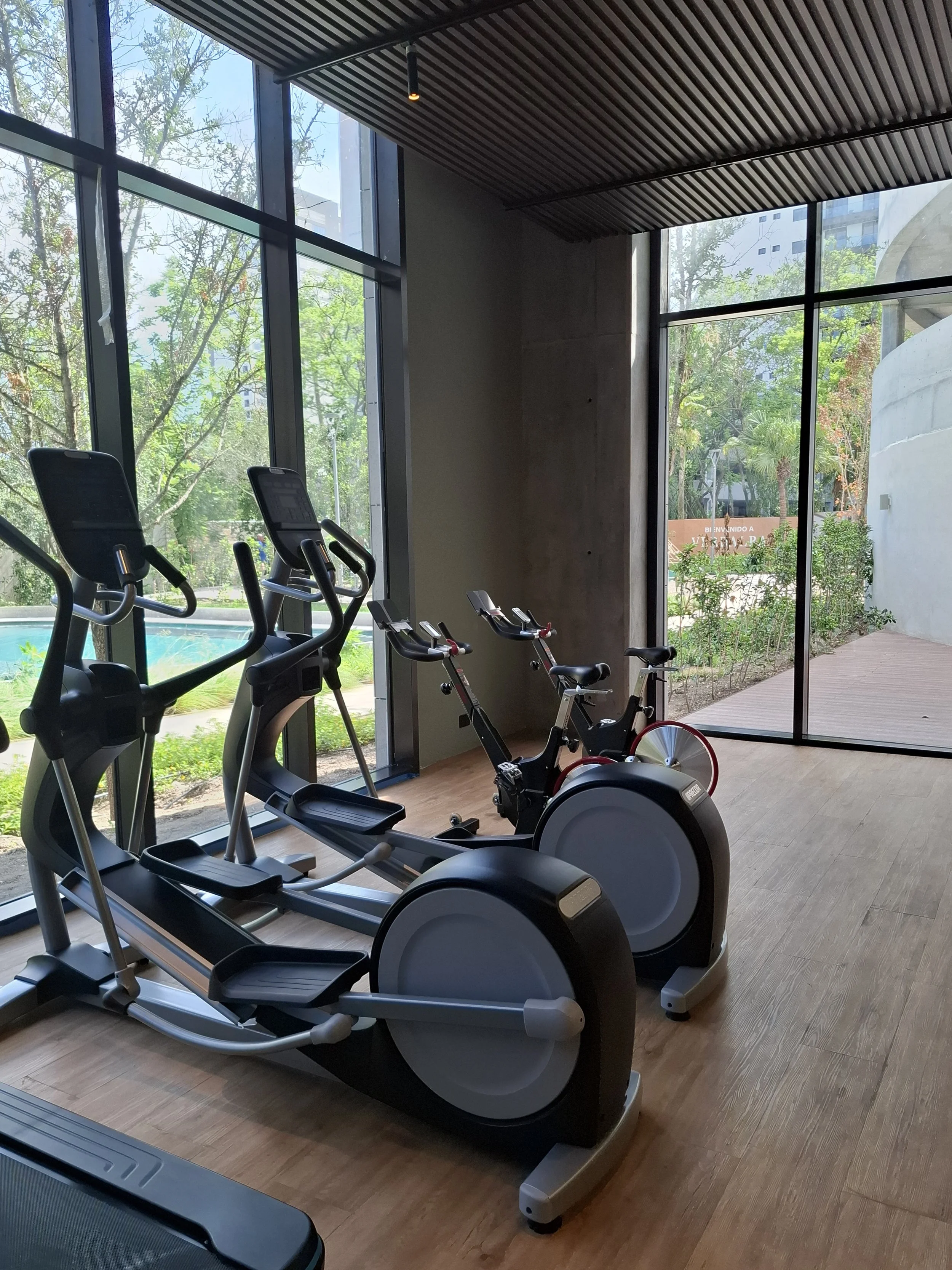 VE4.jpeg (copia) (copia)