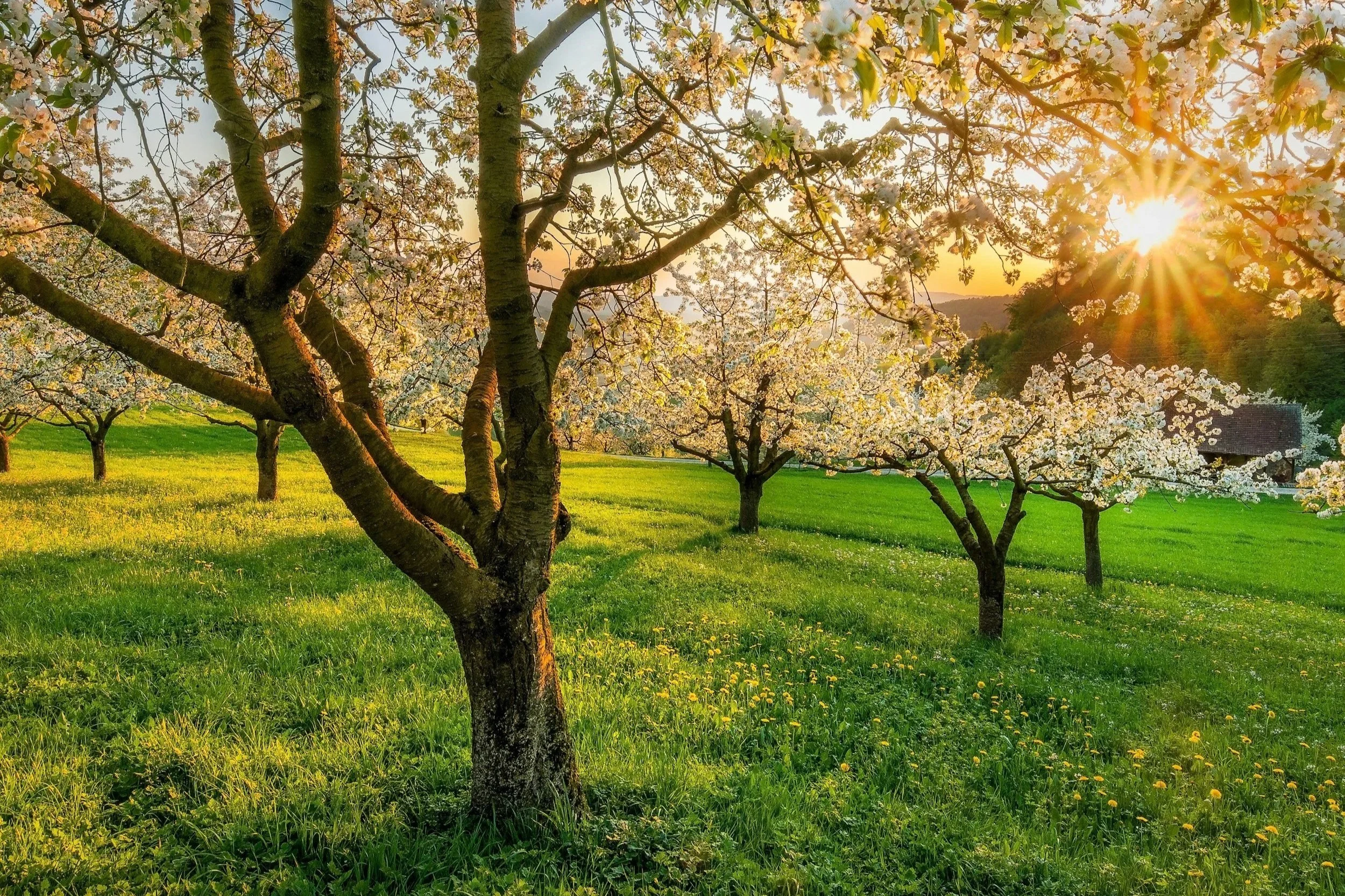 Why Spring Is the Perfect Time to Realign Your Goals and Growth