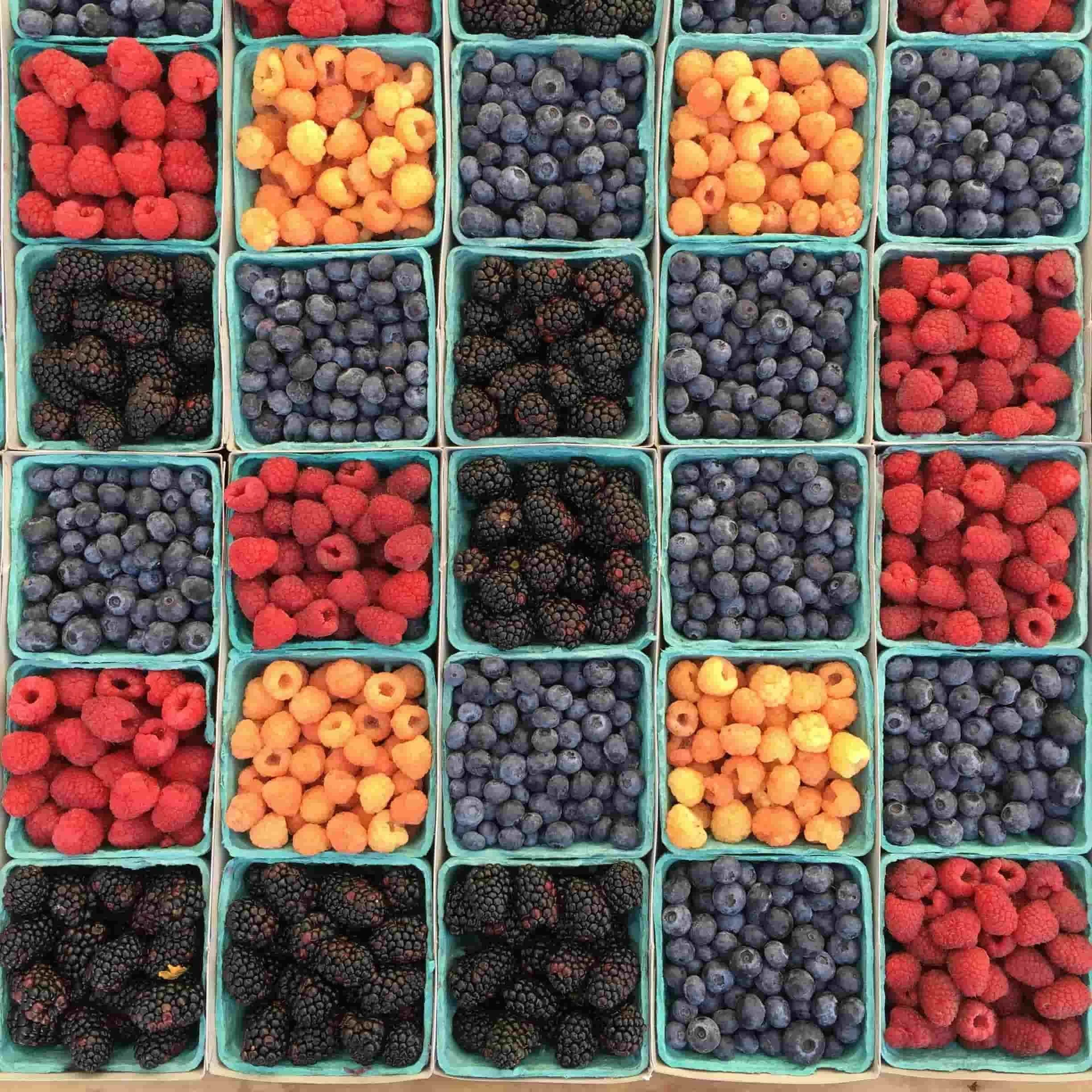 walnuts, almonds, berries, and pomegranates rich in polyphenols for gut barrier health