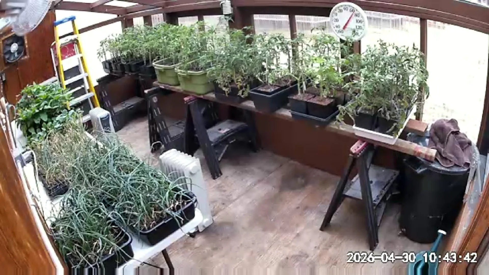 Greenhouse 043026.jpg