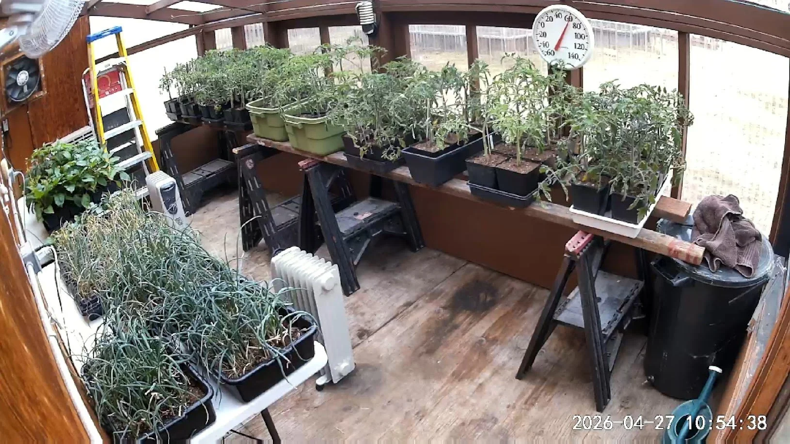 Greenhouse 042726.jpg