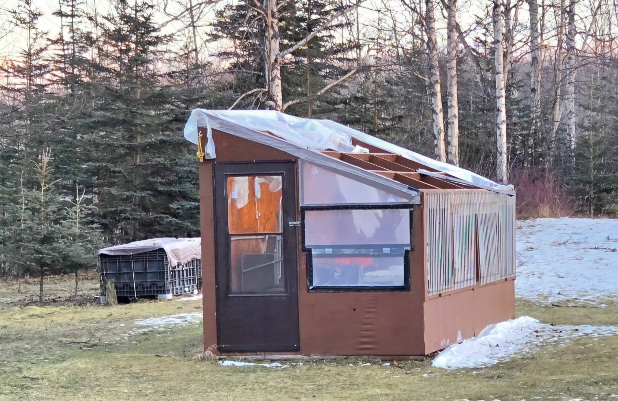 Greenhouse Roof Damage.jpg