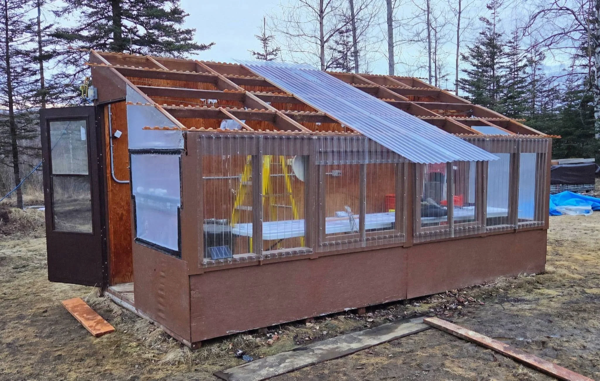 Greenhouse New Roof 1.jpg