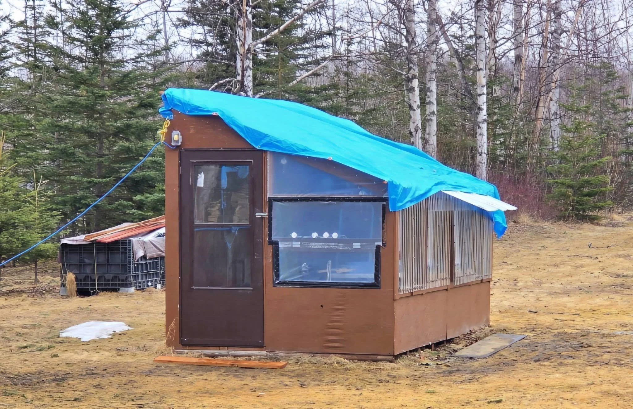 Greenhouse New Roof 2.jpg