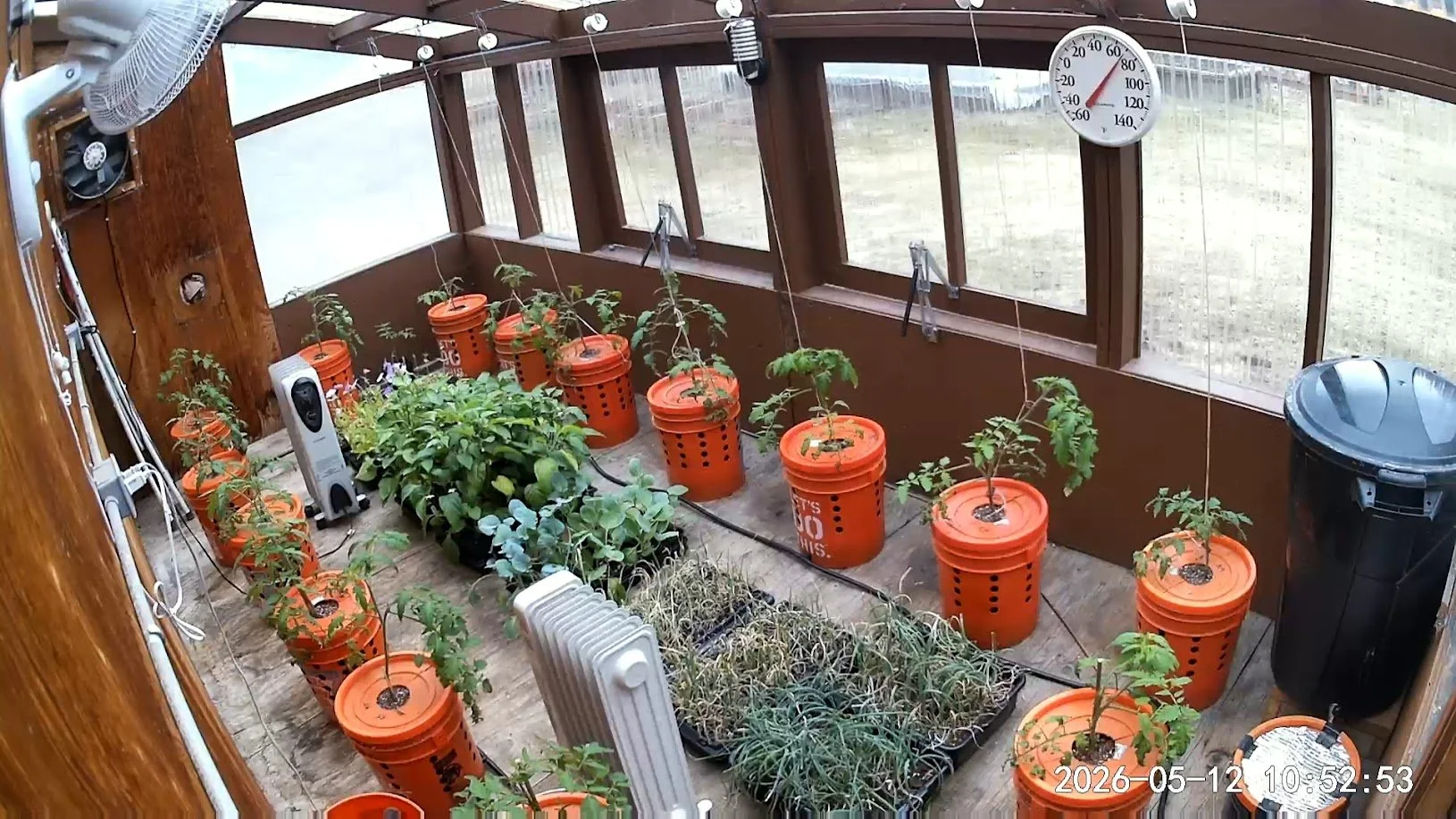 051226 Greenhouse.jpg