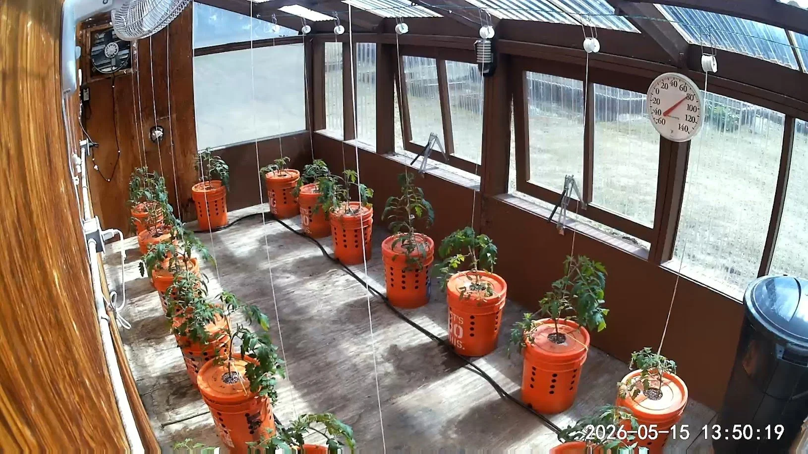 051526 Greenhouse.jpg