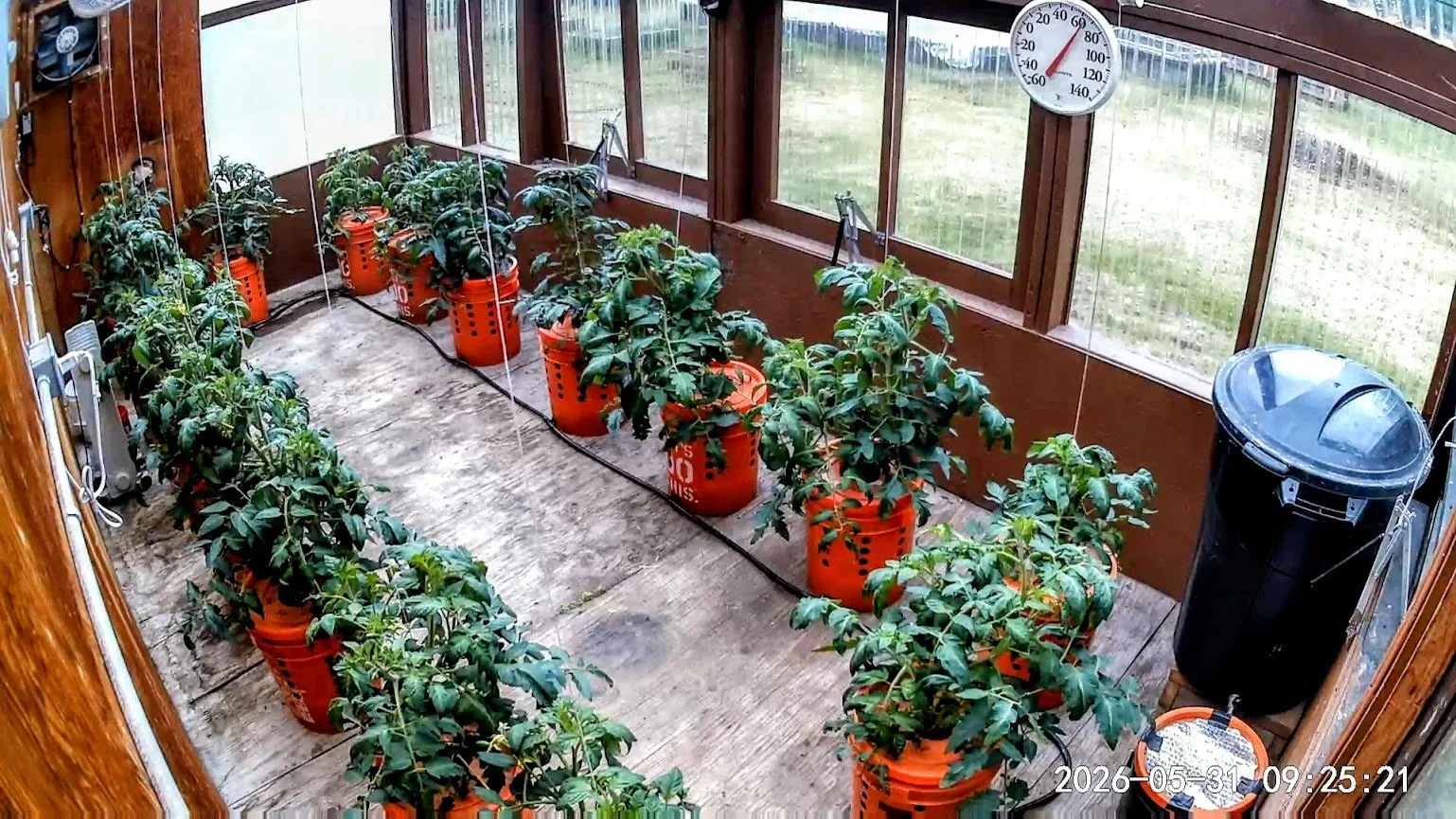 053126 Greenhouse.jpg