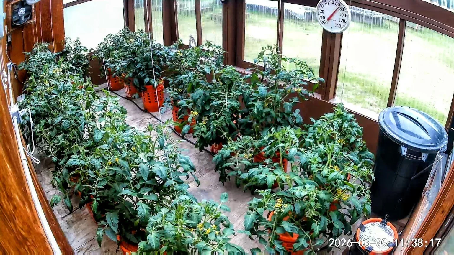060926 Greenhouse.jpg