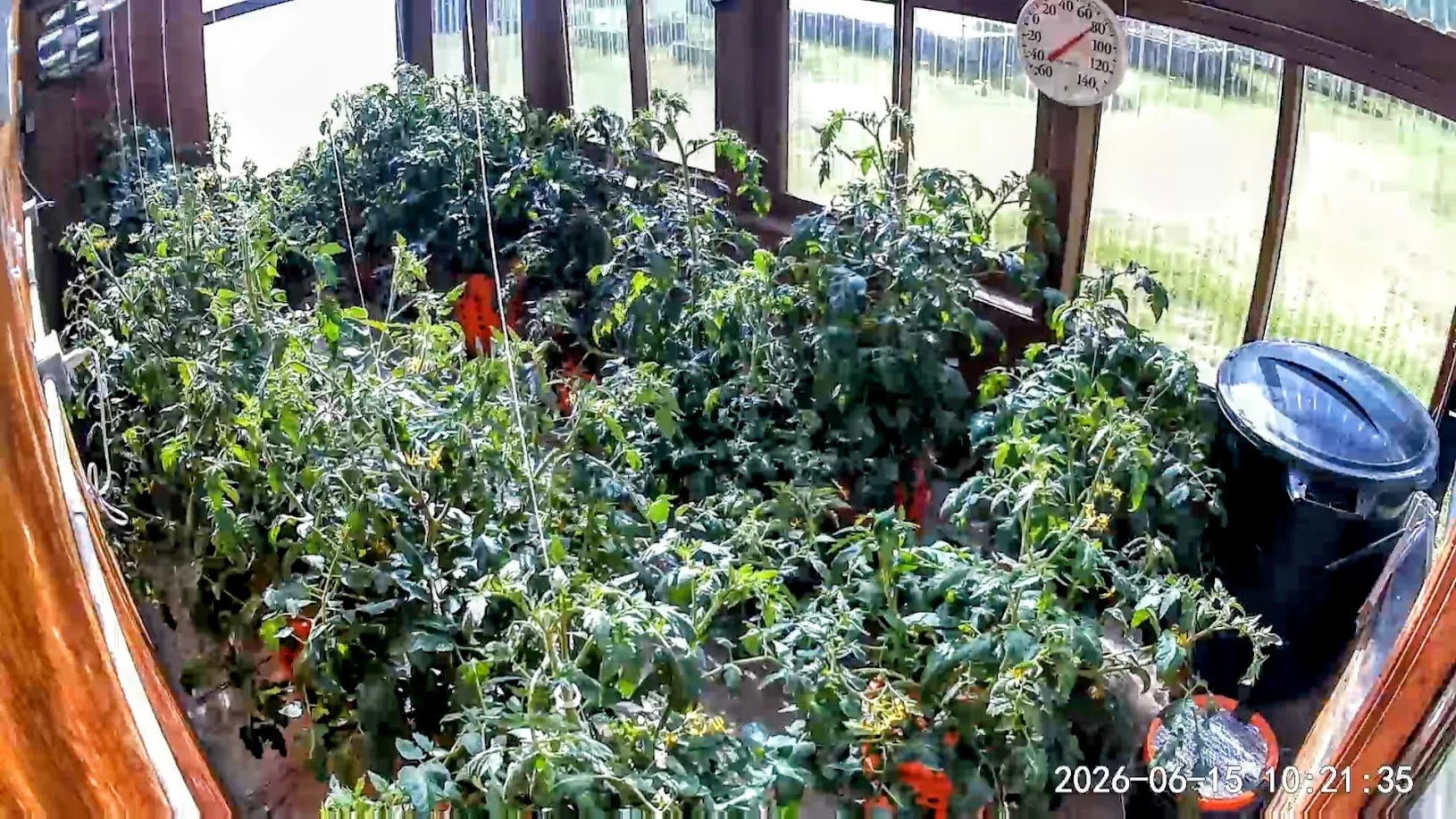 061526 Greenhouse.jpg