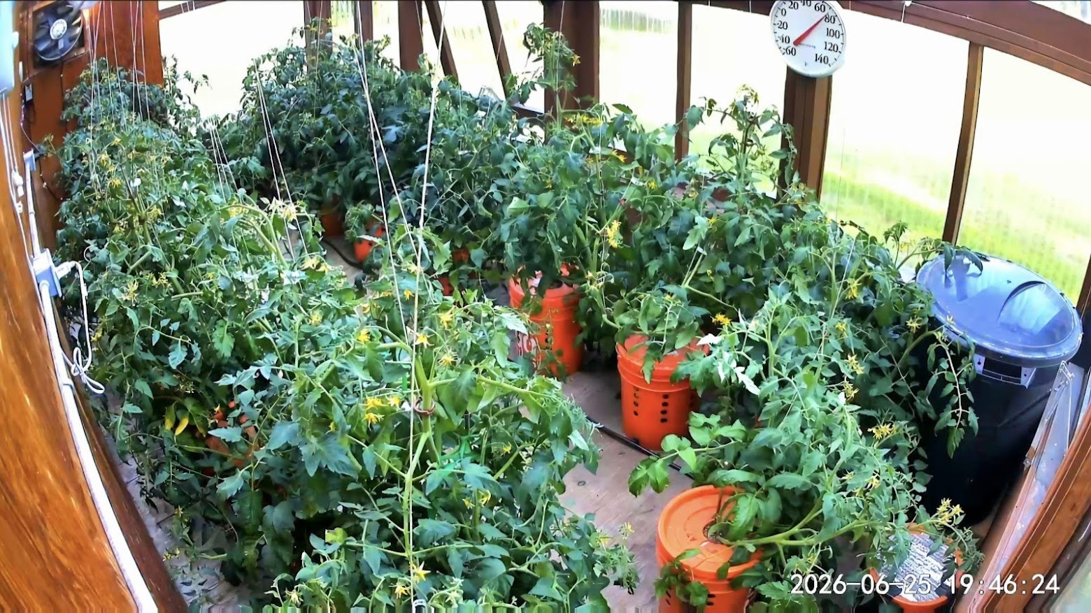062526 Greenhouse.jpg