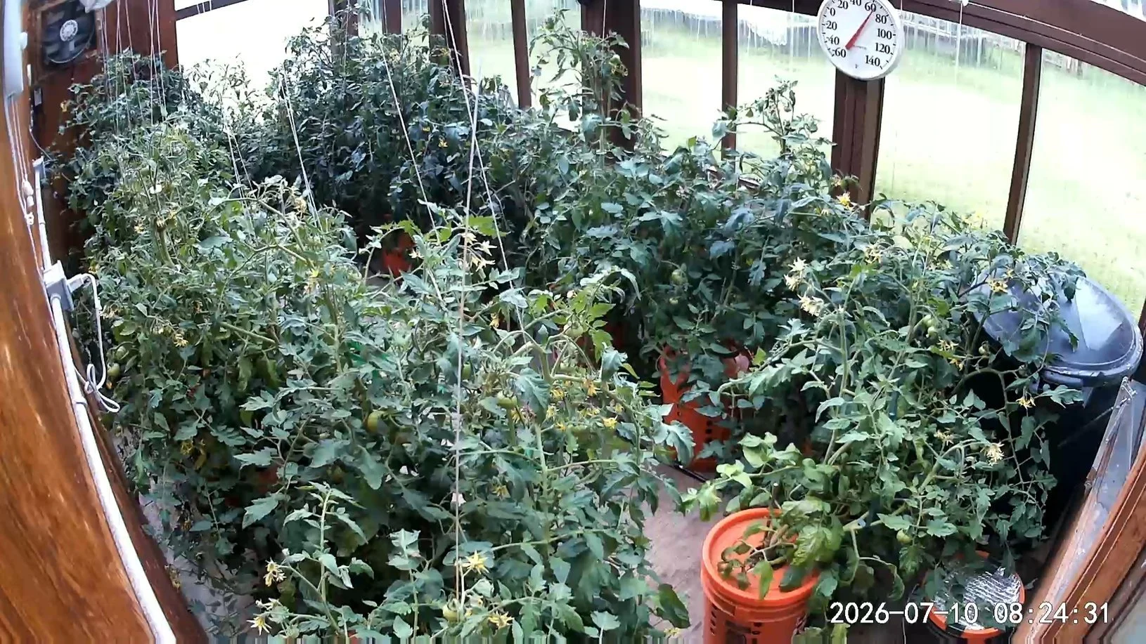 071026 Greenhouse.jpg