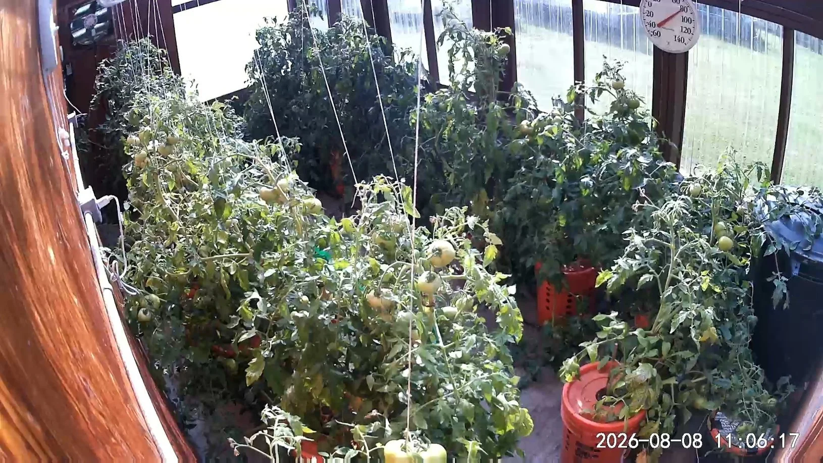 080826 Greenhouse.jpg