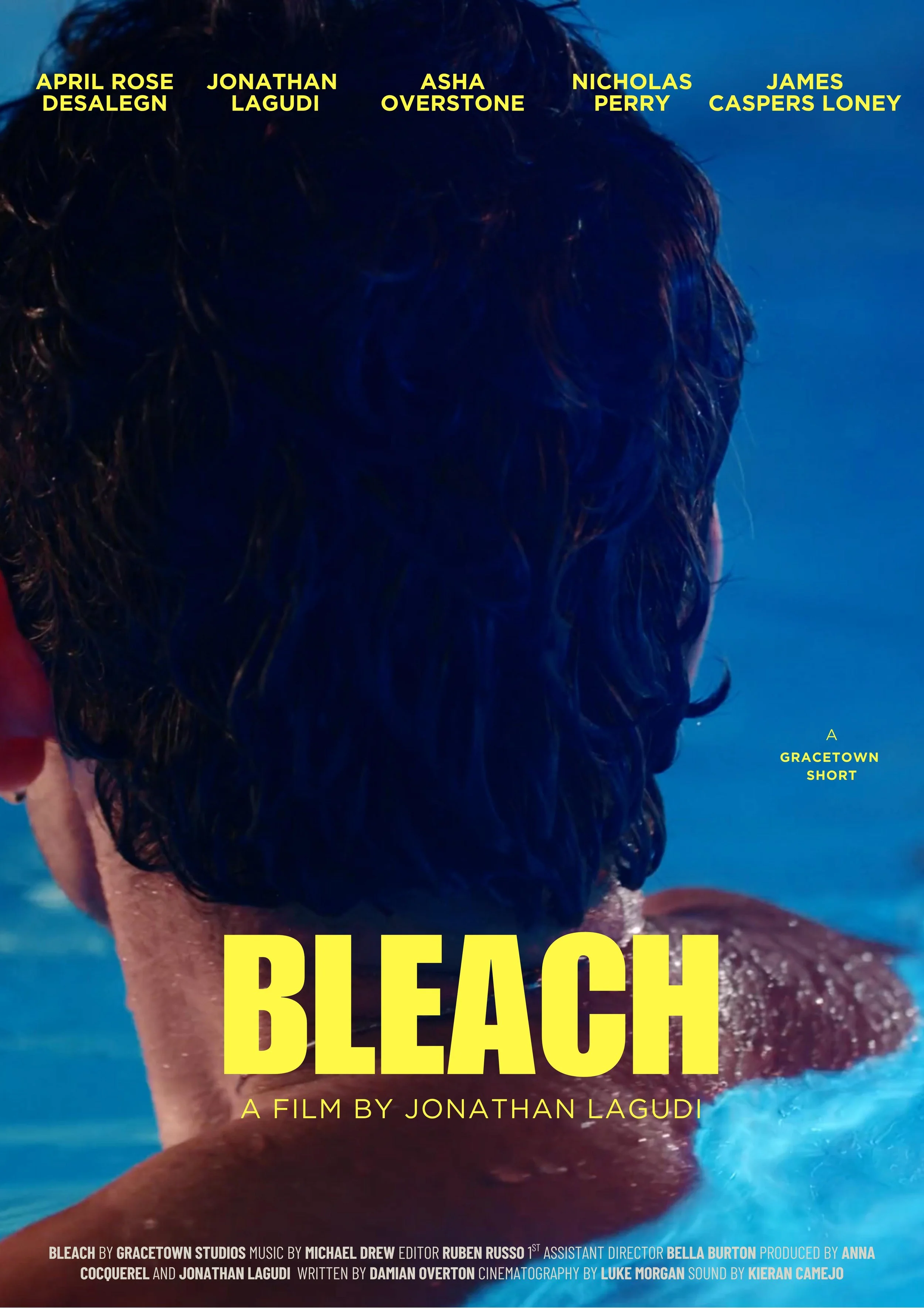 Bleach short film poster