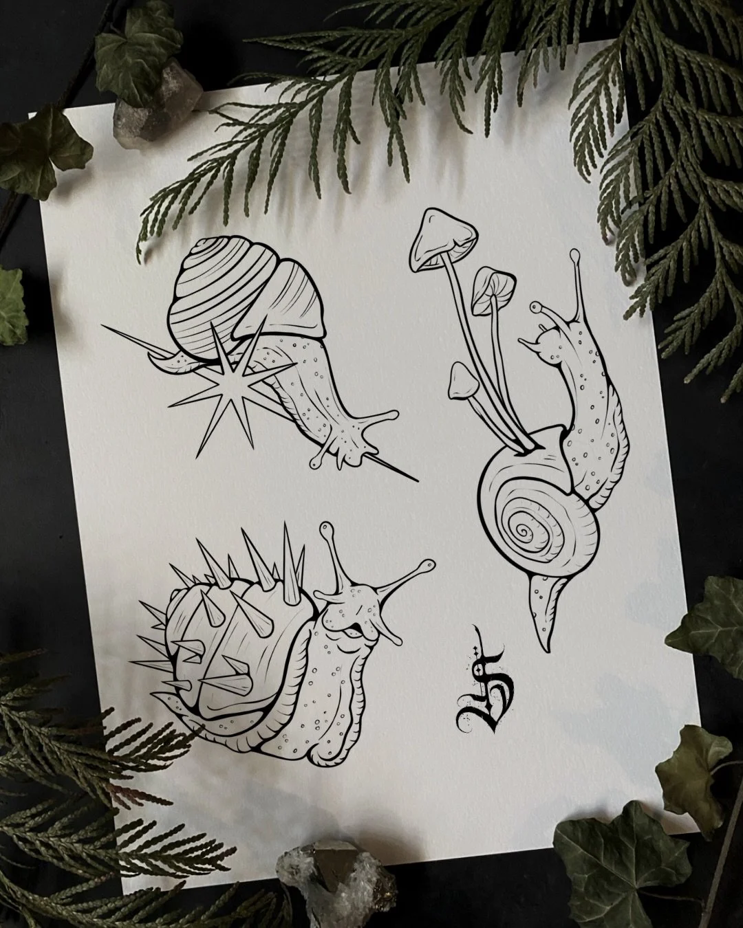 🐌 New Flash Drop 🐍 for our upcoming Flash weekend at Tempest!

Come celebrate OUR SHOP BIRTHDAY🎉 
For our 2 year anniversary we are going to be having our biggest flash sale of the year! 

⭐️ Swing by Tempest for 30% off all old and NEW Flash!

‼️