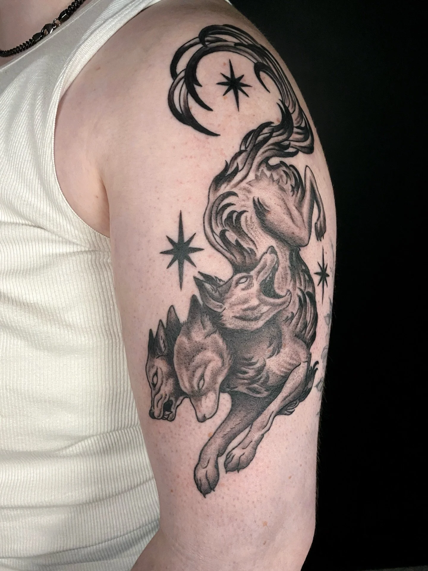 🌟 Good dog(s) 🌟 for Theo! This was such a great time creating this for you. Looking forward to your next project sometime 👏 

Lines healed ~ shading is fresh!

More flourishy creatures pls 🙏 

Books open - Limited spots available this month so if