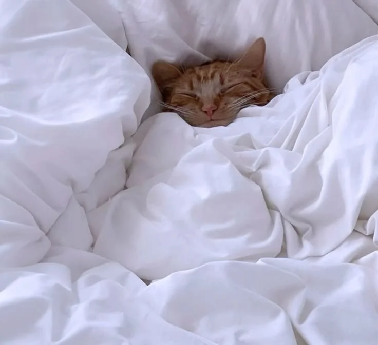 Stress, Sleep &amp; Nutrition – The Triangle That Impacts Your Energy