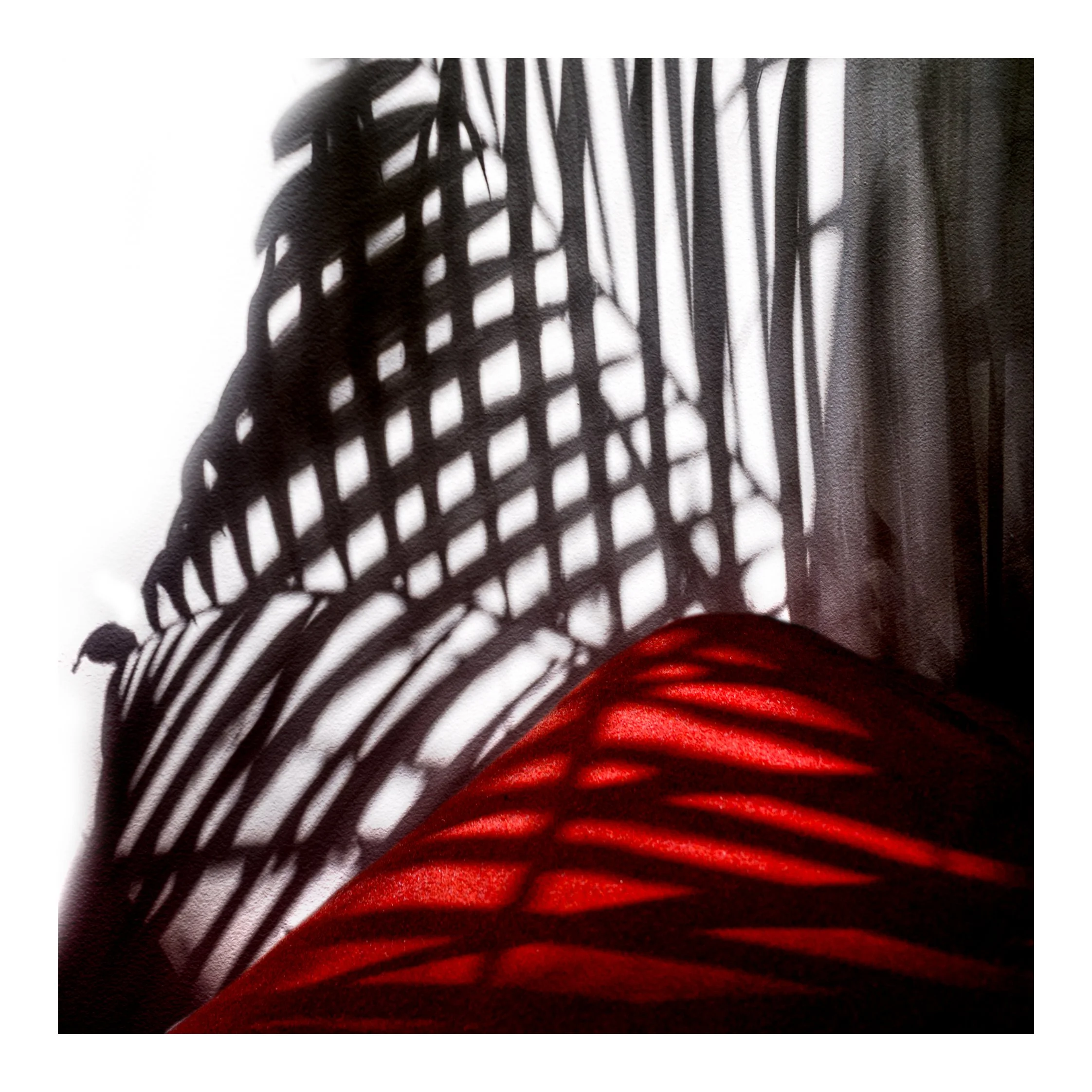 Web- LIGNES- 00-05-111.jpg