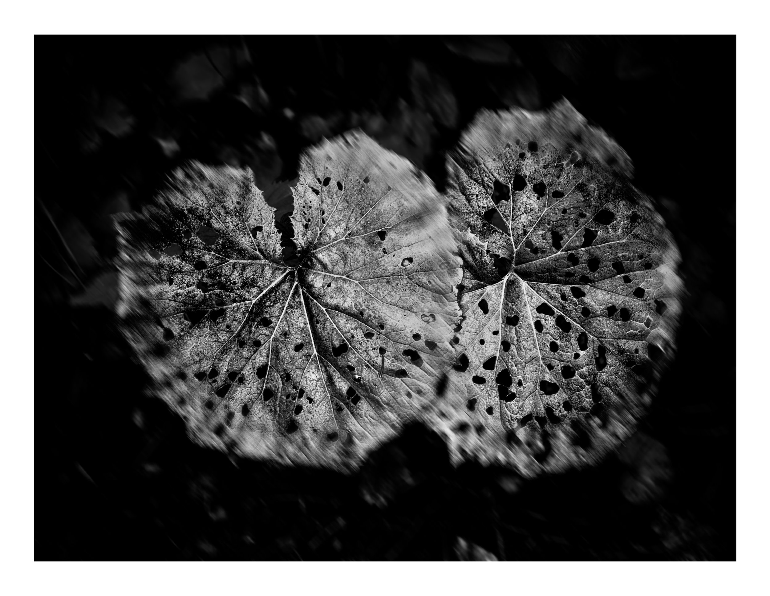 Web- ABSTRACTIONS - 00-05-142.jpg