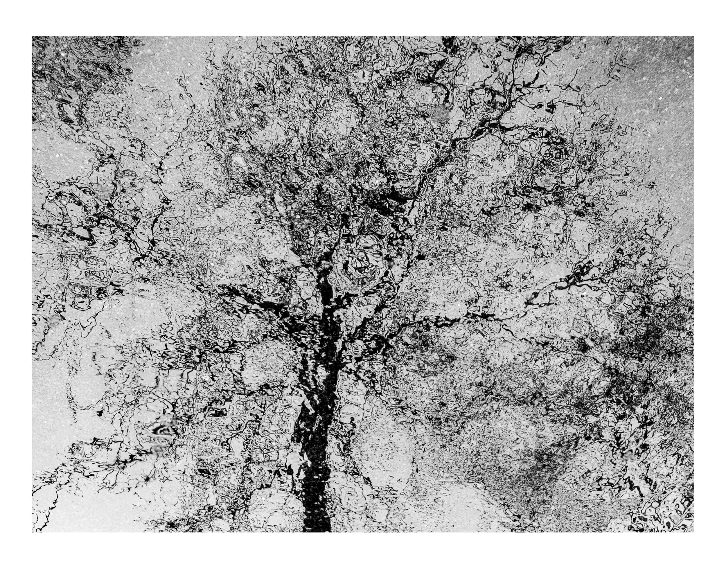 Abstraction-00-05-119