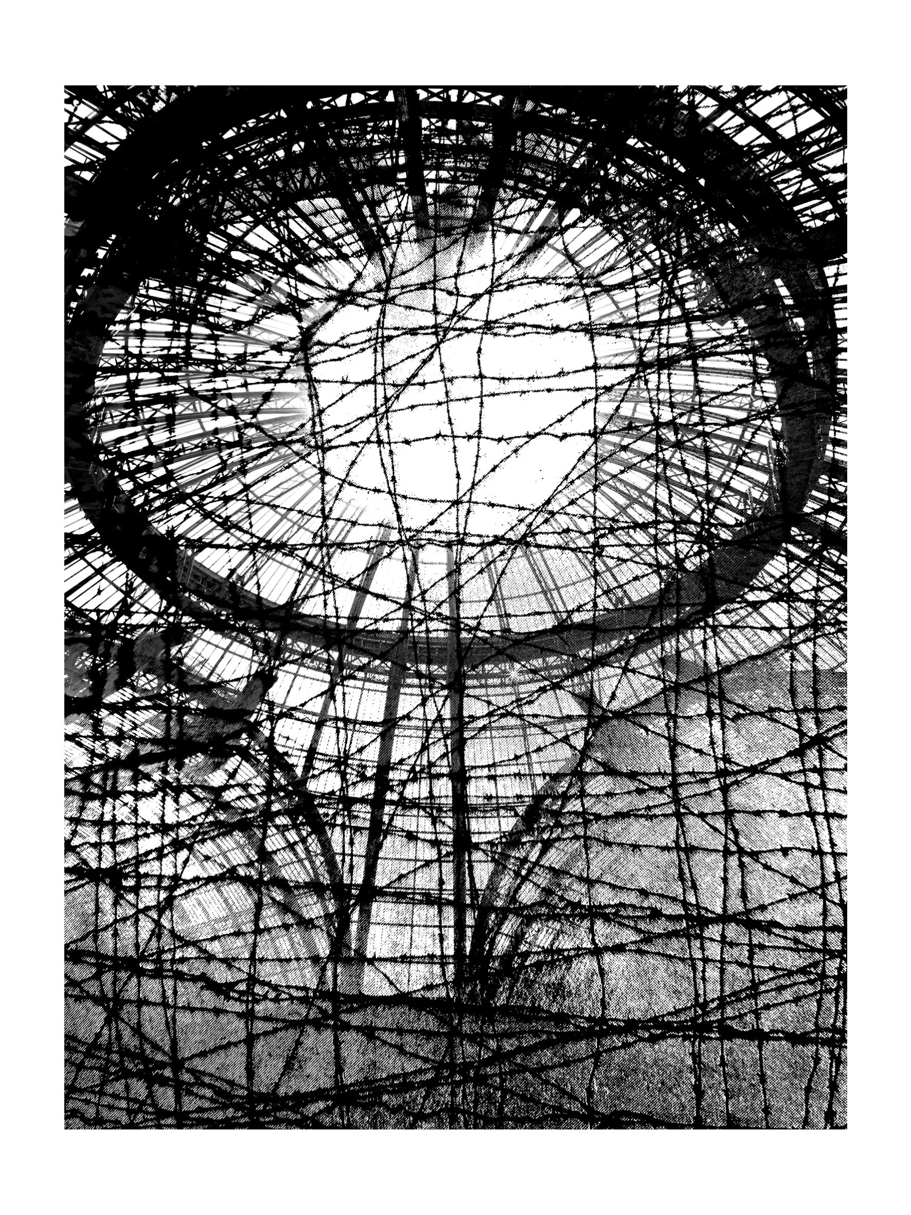 Web- LIGNES- 00-05-104.jpg