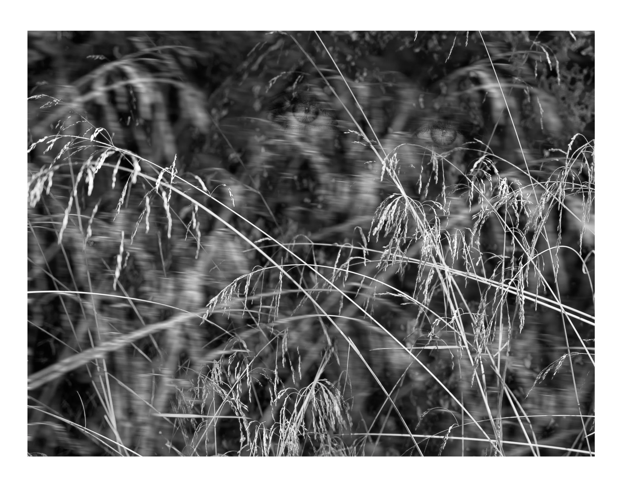 Web- ABSTRACTIONS - 00-05-135.jpg
