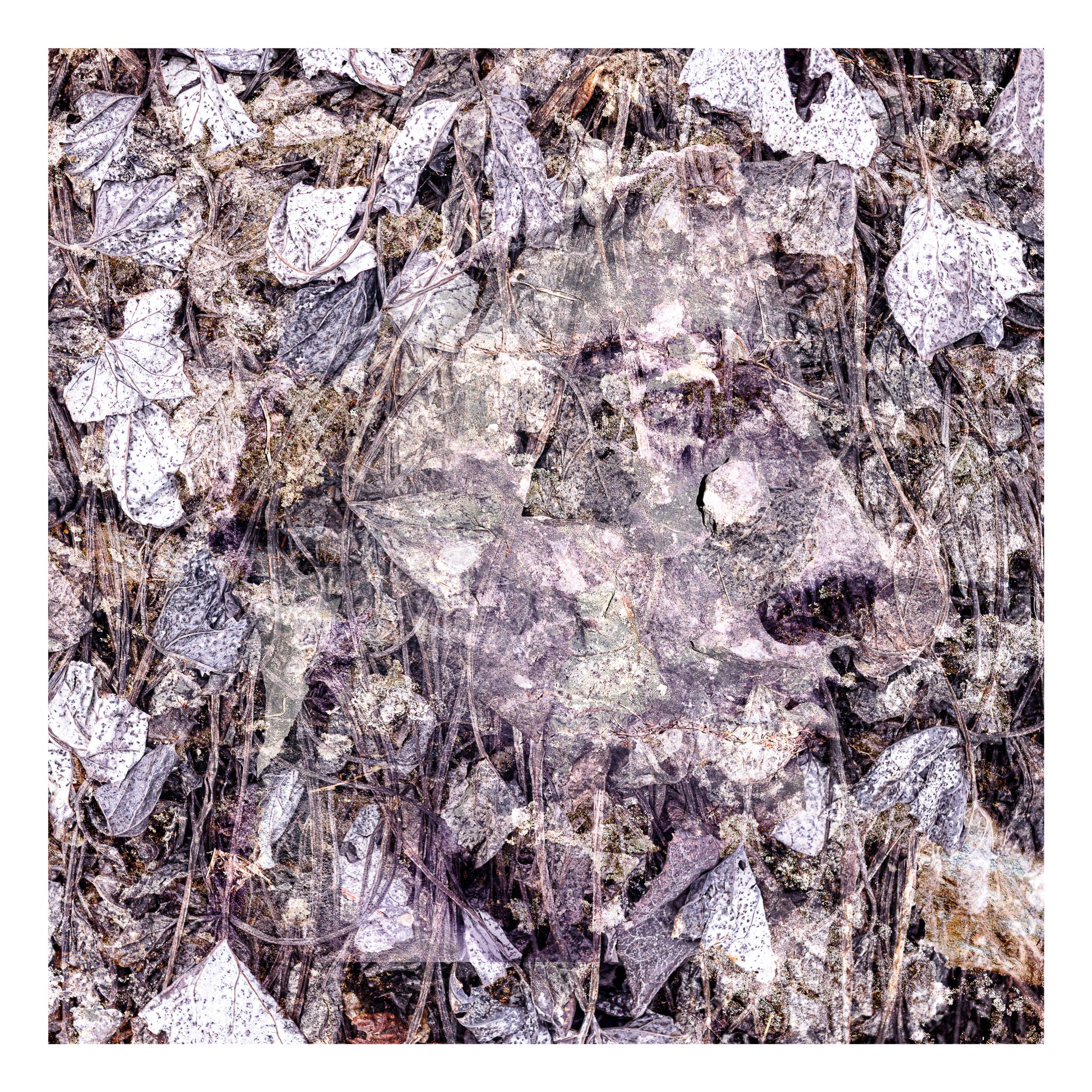 Abstraction-00-05-112