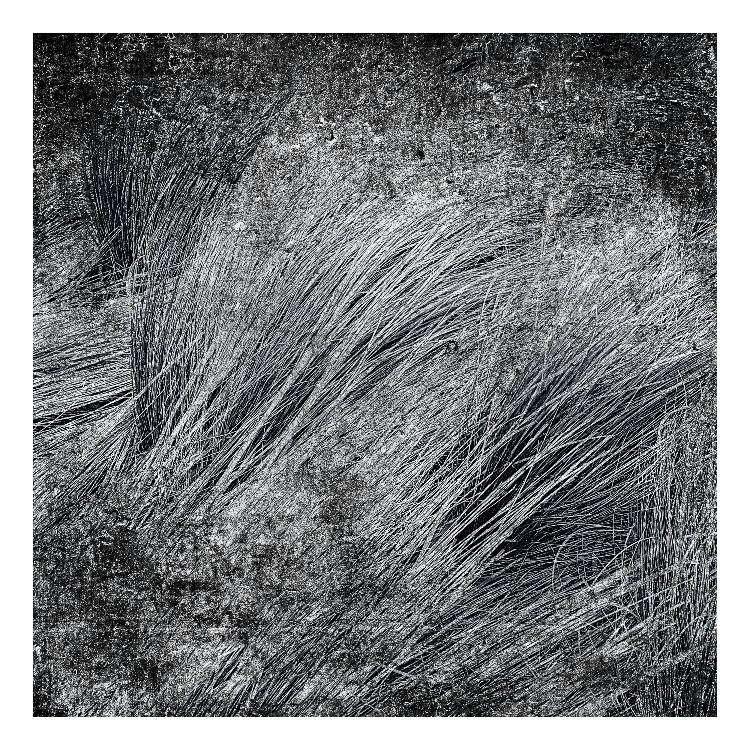 Abstraction-00-05-107