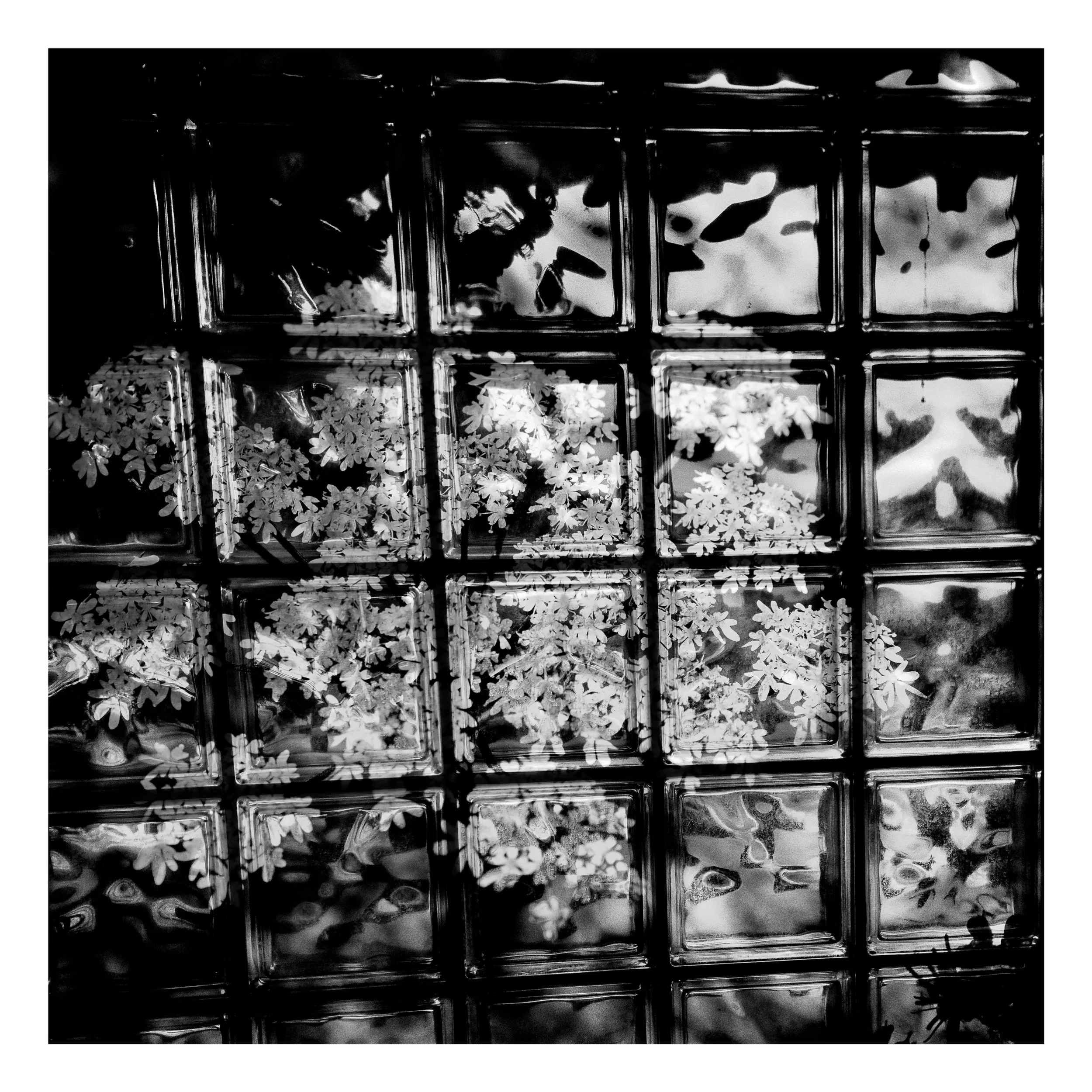 Web- ABSTRACTIONS - 00-05-139.jpg