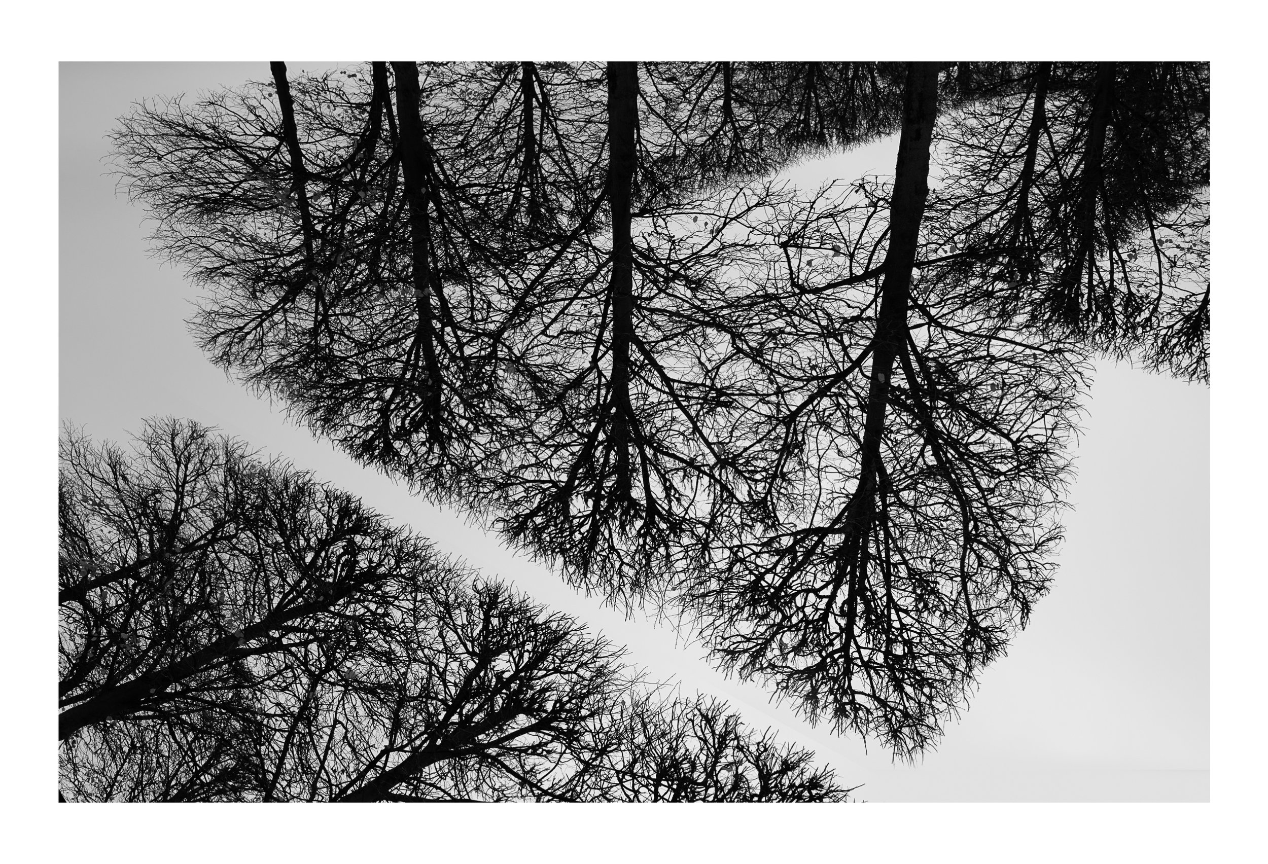 Web- LIGNES- 00-05-105.jpg
