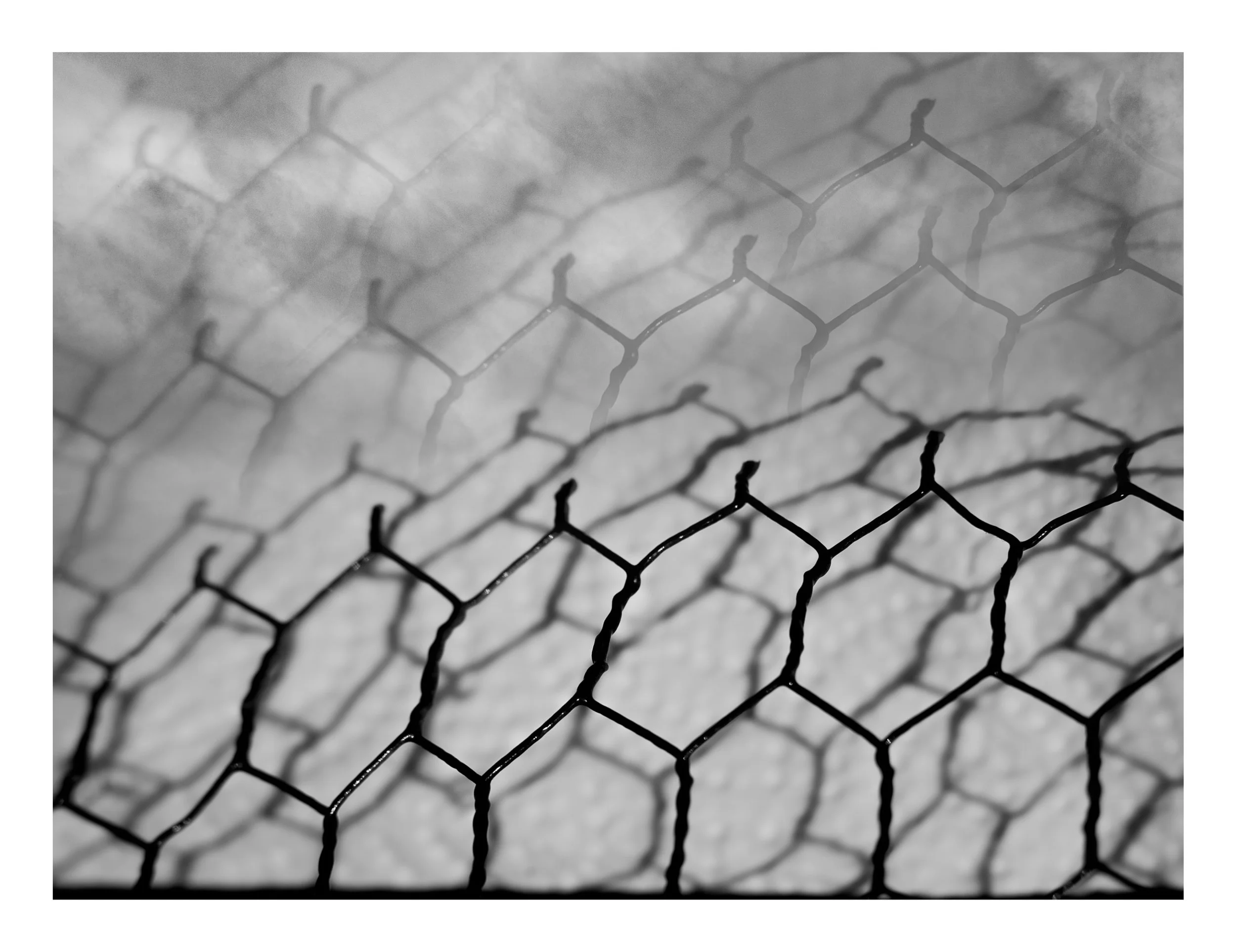 Web- ABSTRACTIONS - 00-05-145.jpg